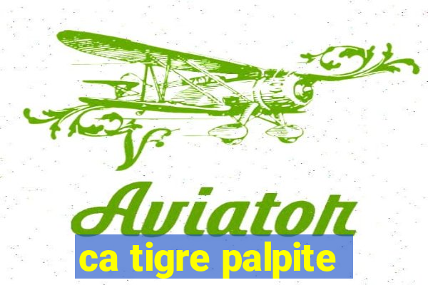 ca tigre palpite